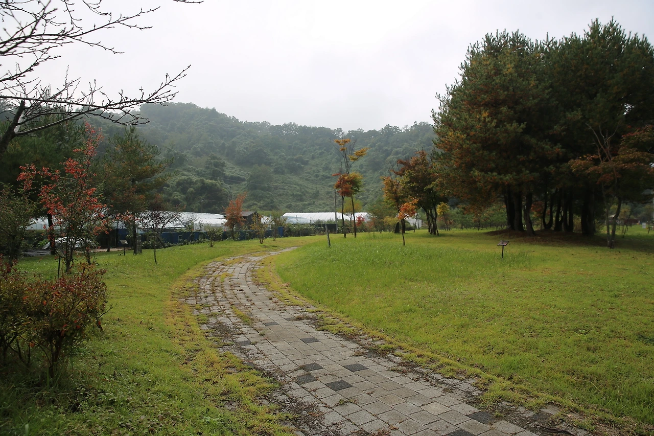 MG0A5570_новый размер.JPG