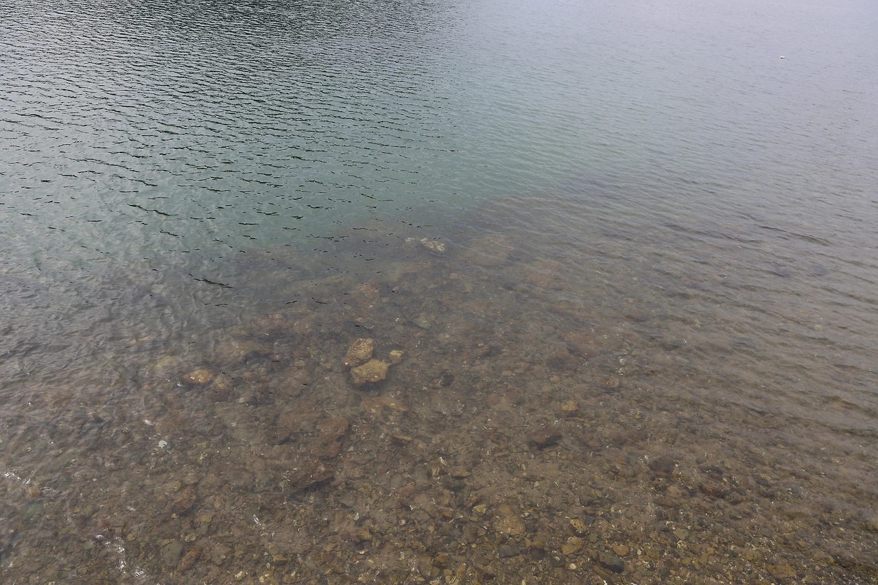 0R5A4336_новый размер.JPG