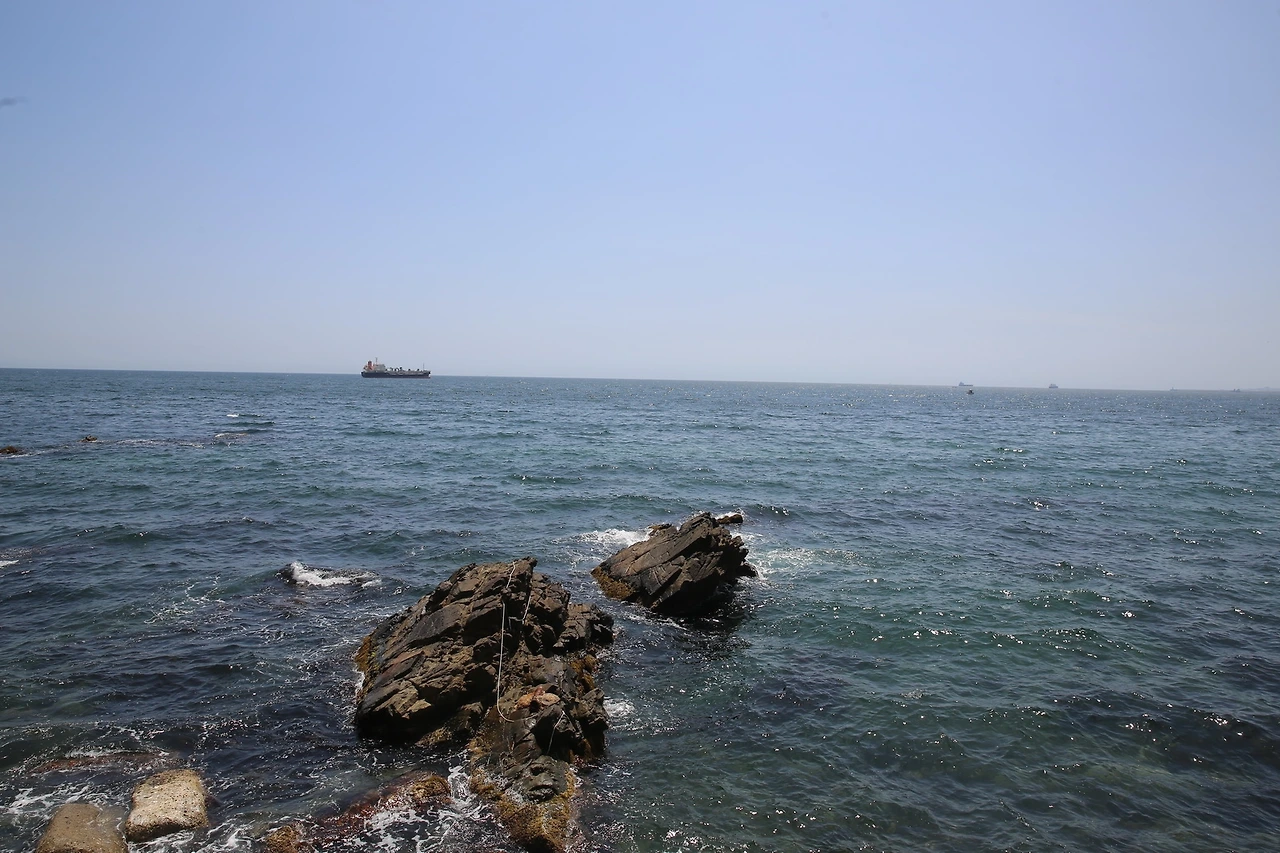 MG0A0245_новый размер.JPG