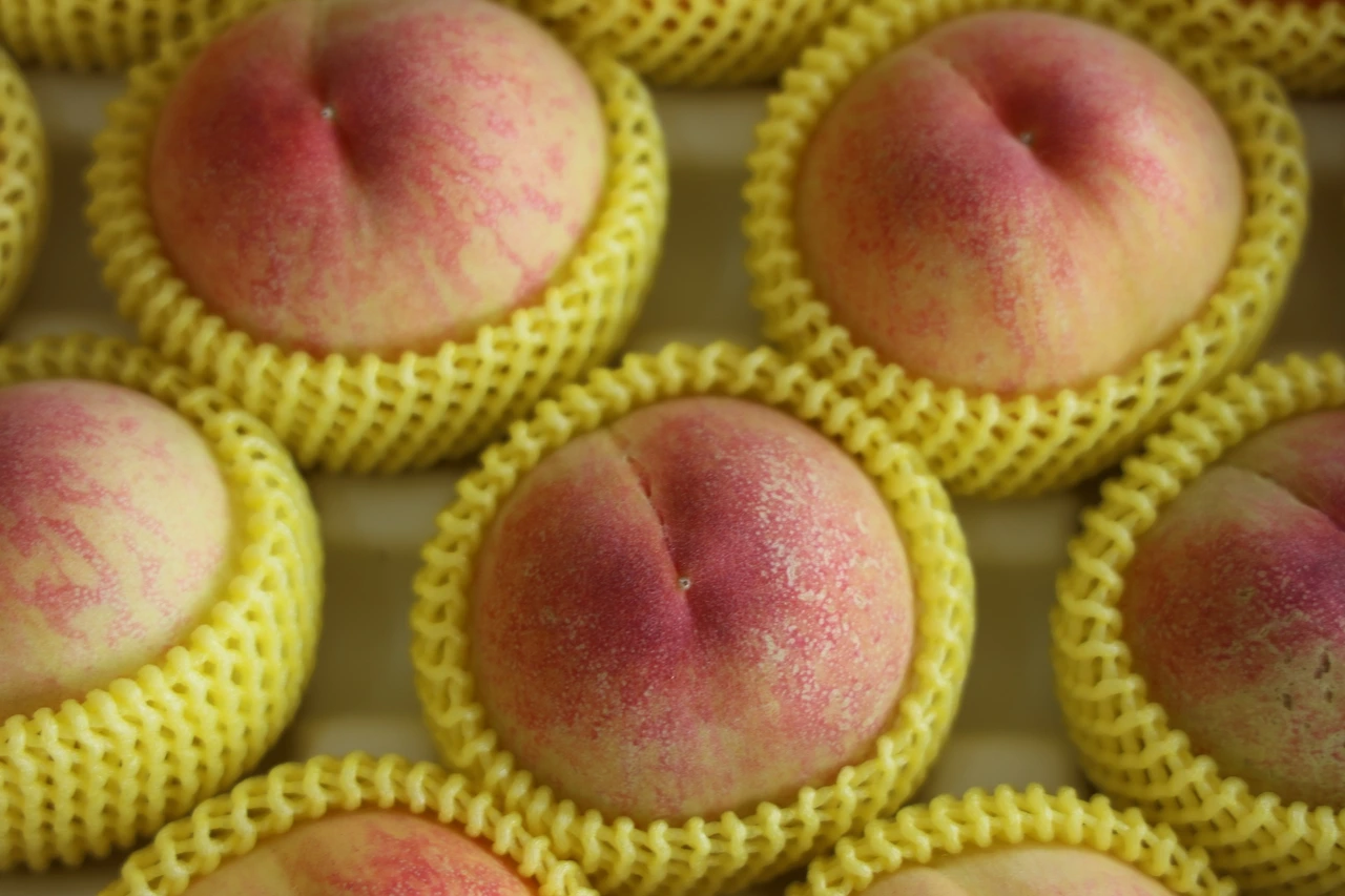 0R5A7651_новый размер.JPG