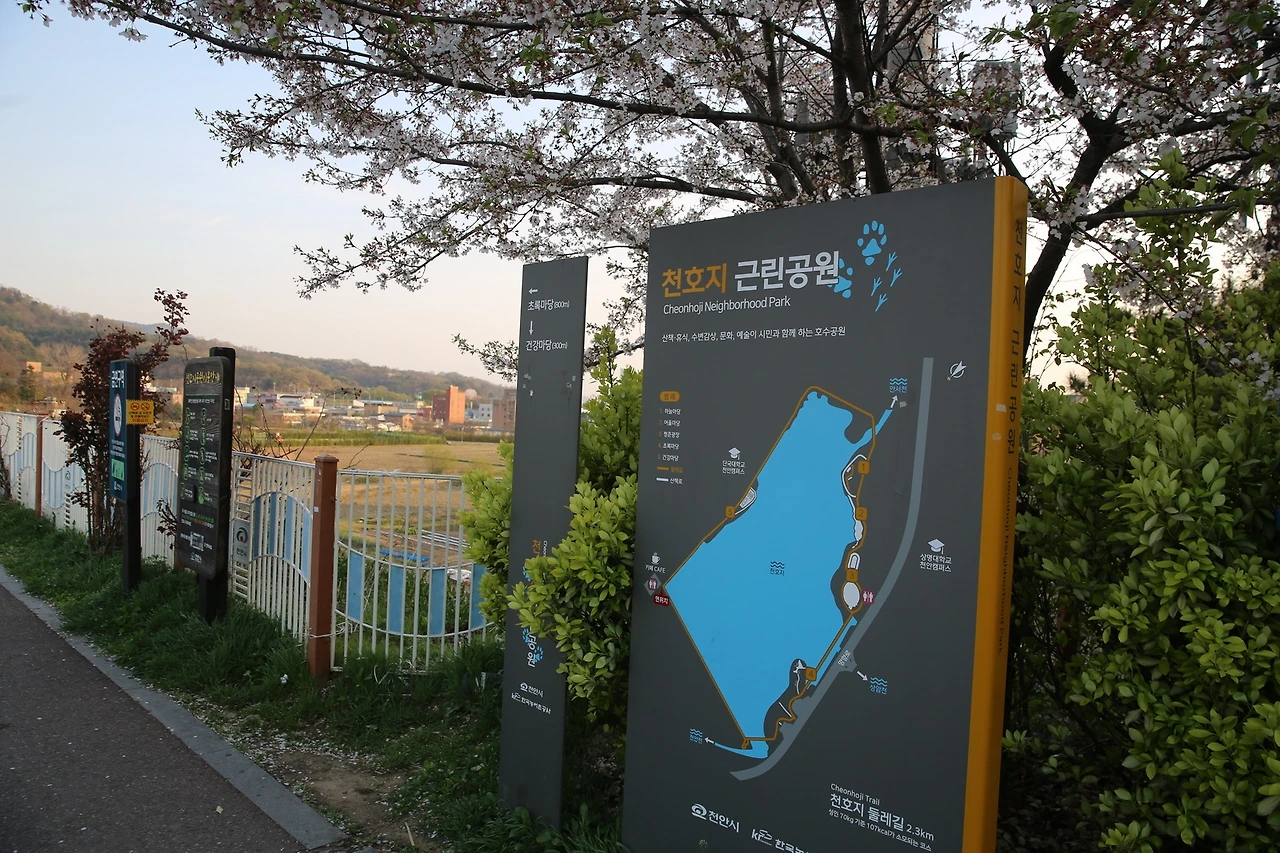 MG0A8899_новый размер.JPG