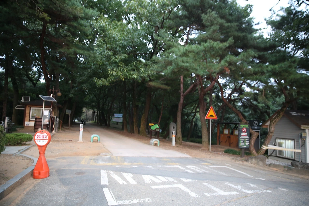 MG0A3738_новый размер.JPG