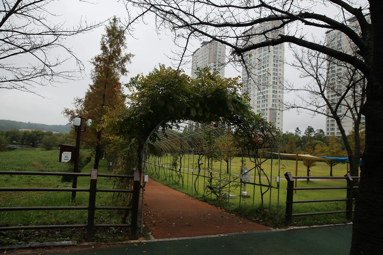 MG0A5212_новый размер.JPG