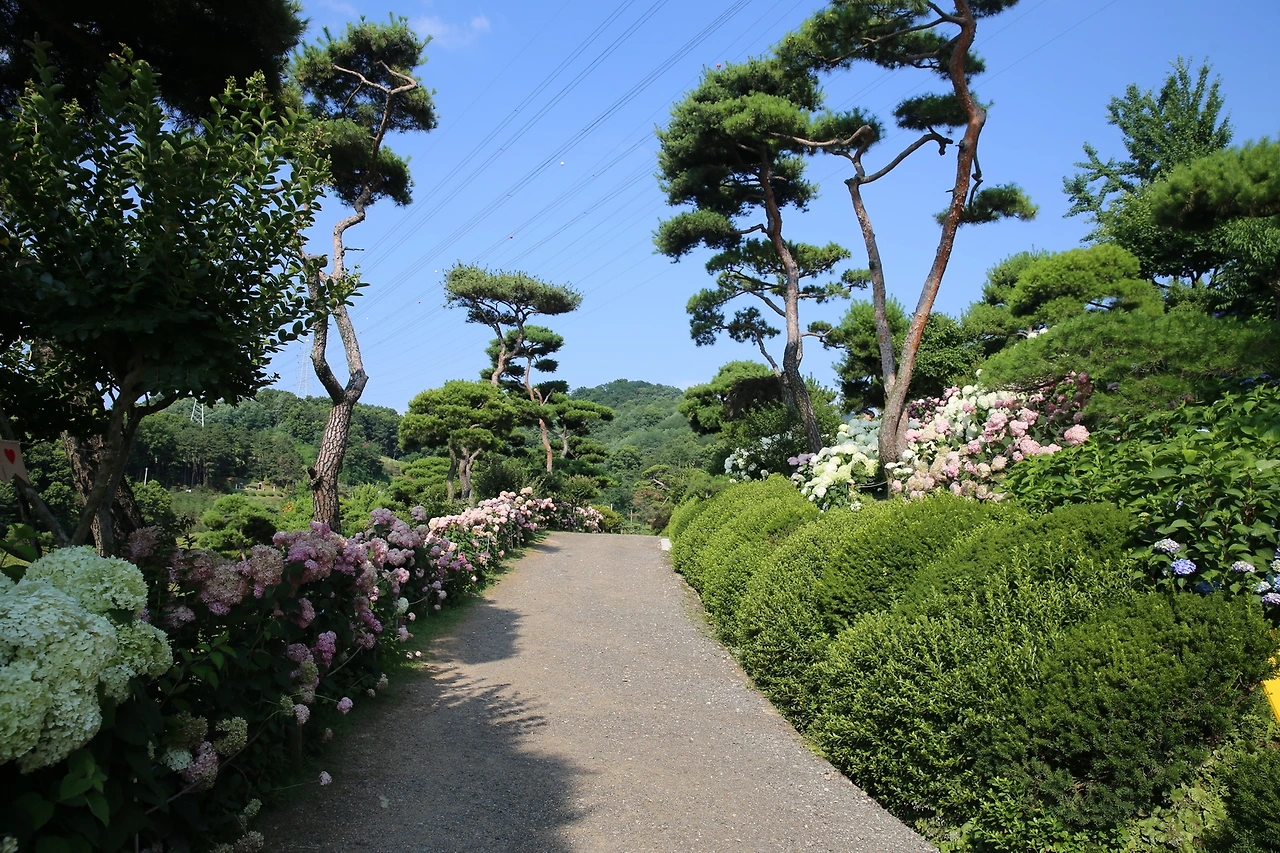 MG0A3106_новый размер.JPG