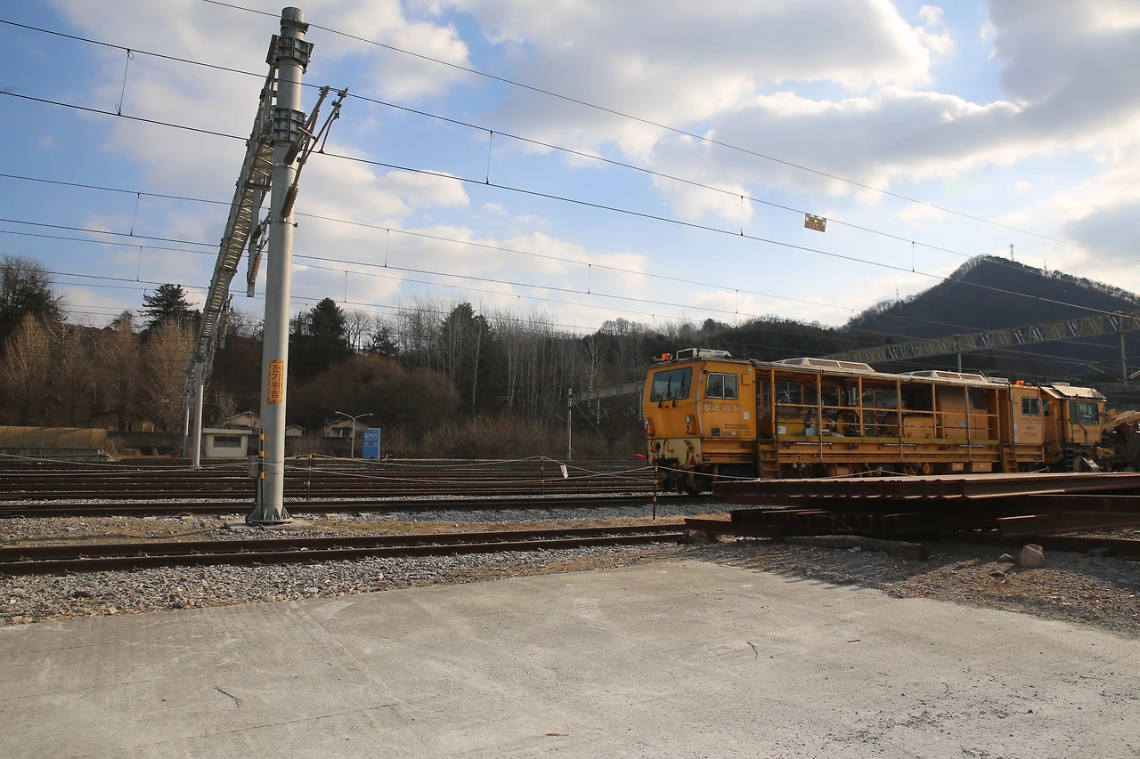 MG0A4914_новый размер.JPG