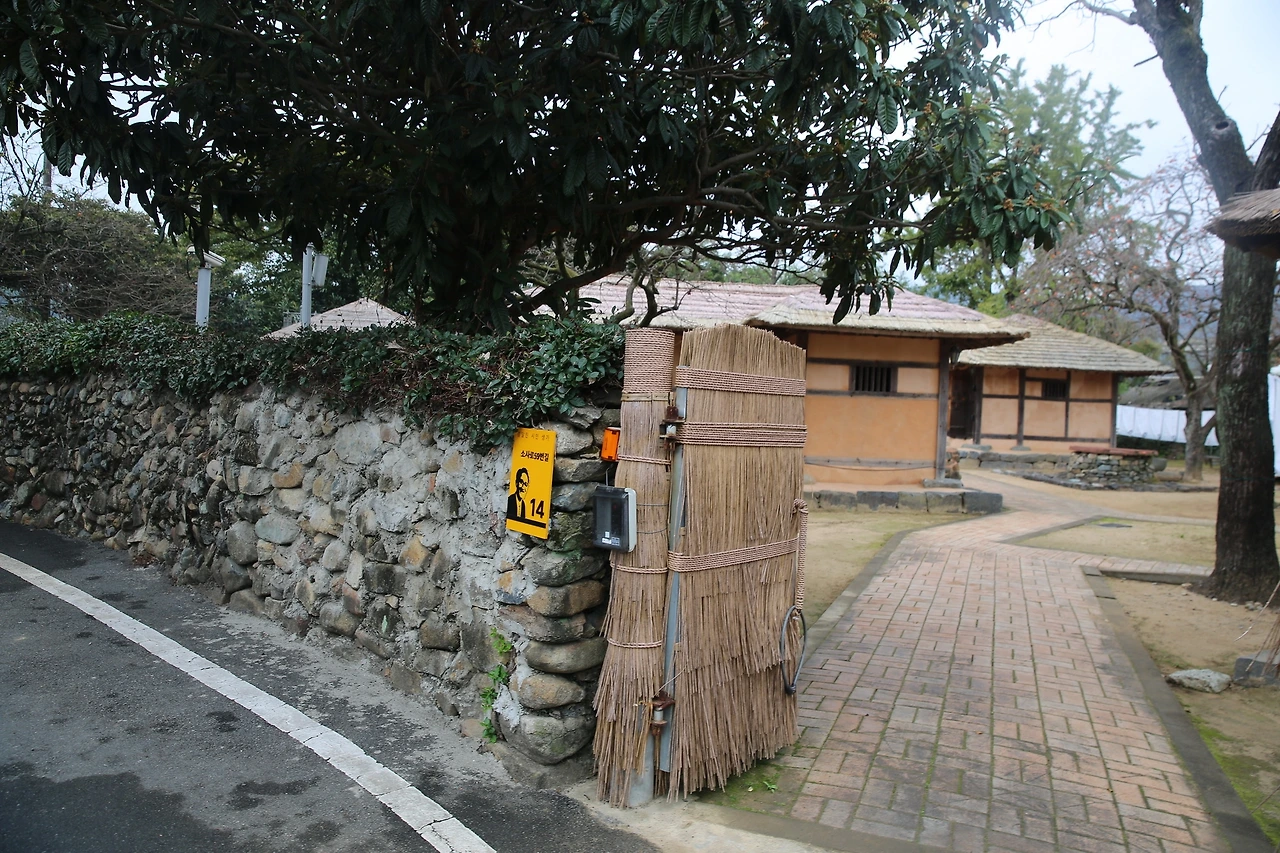 MG0A0466_новый размер.JPG