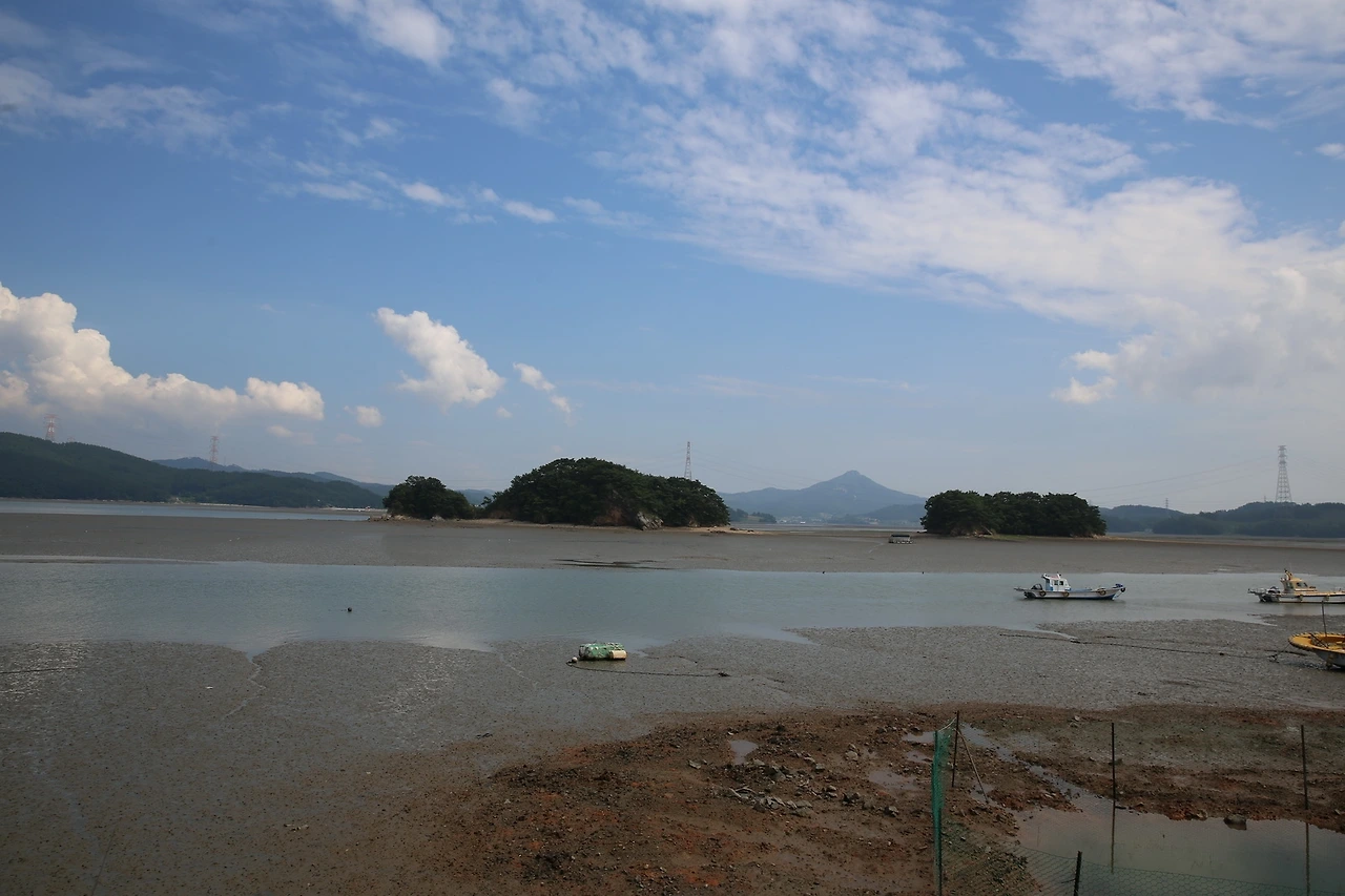 MG0A7031_новый размер.JPG