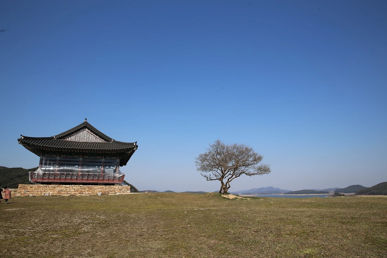 MG0A3377_новый размер.JPG