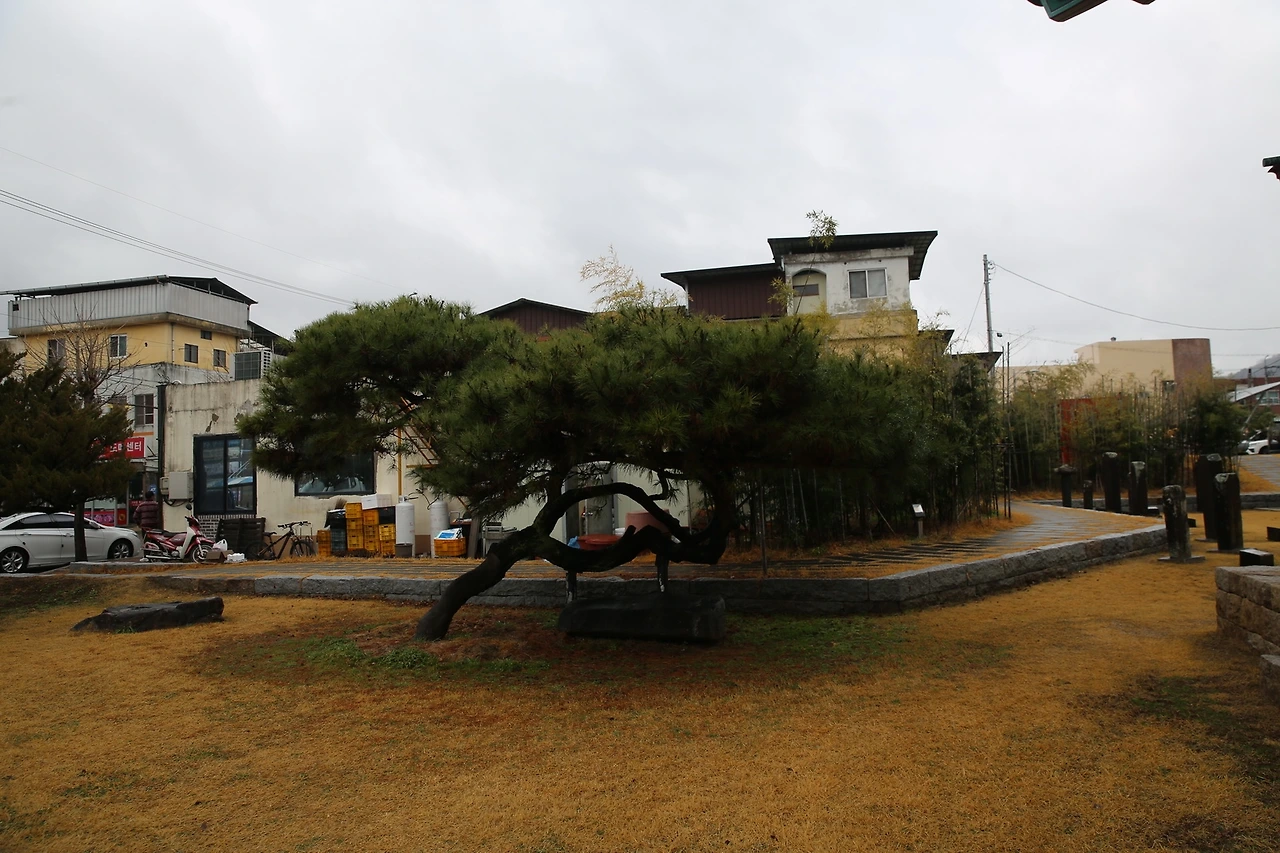 MG0A0364_новый размер.JPG