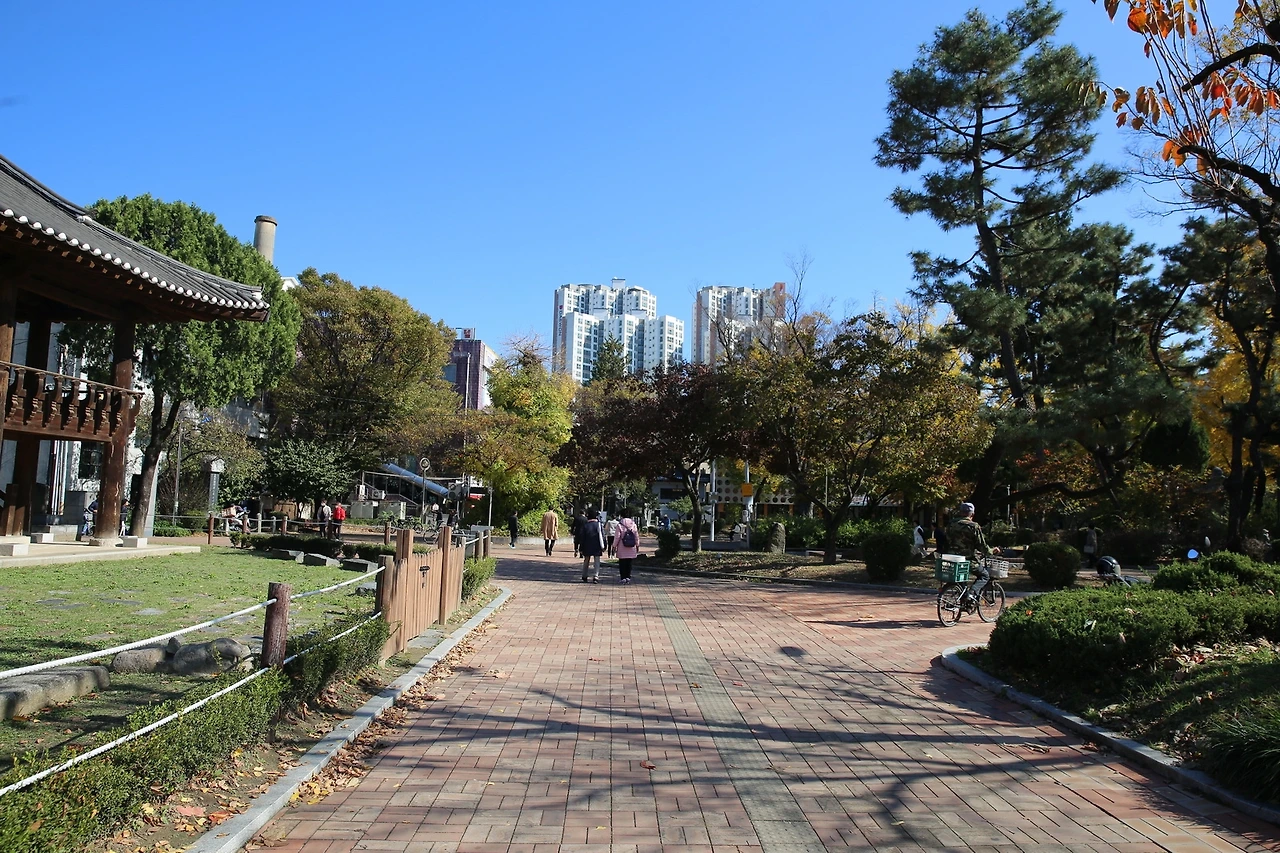 MG0A0055_новый размер.JPG