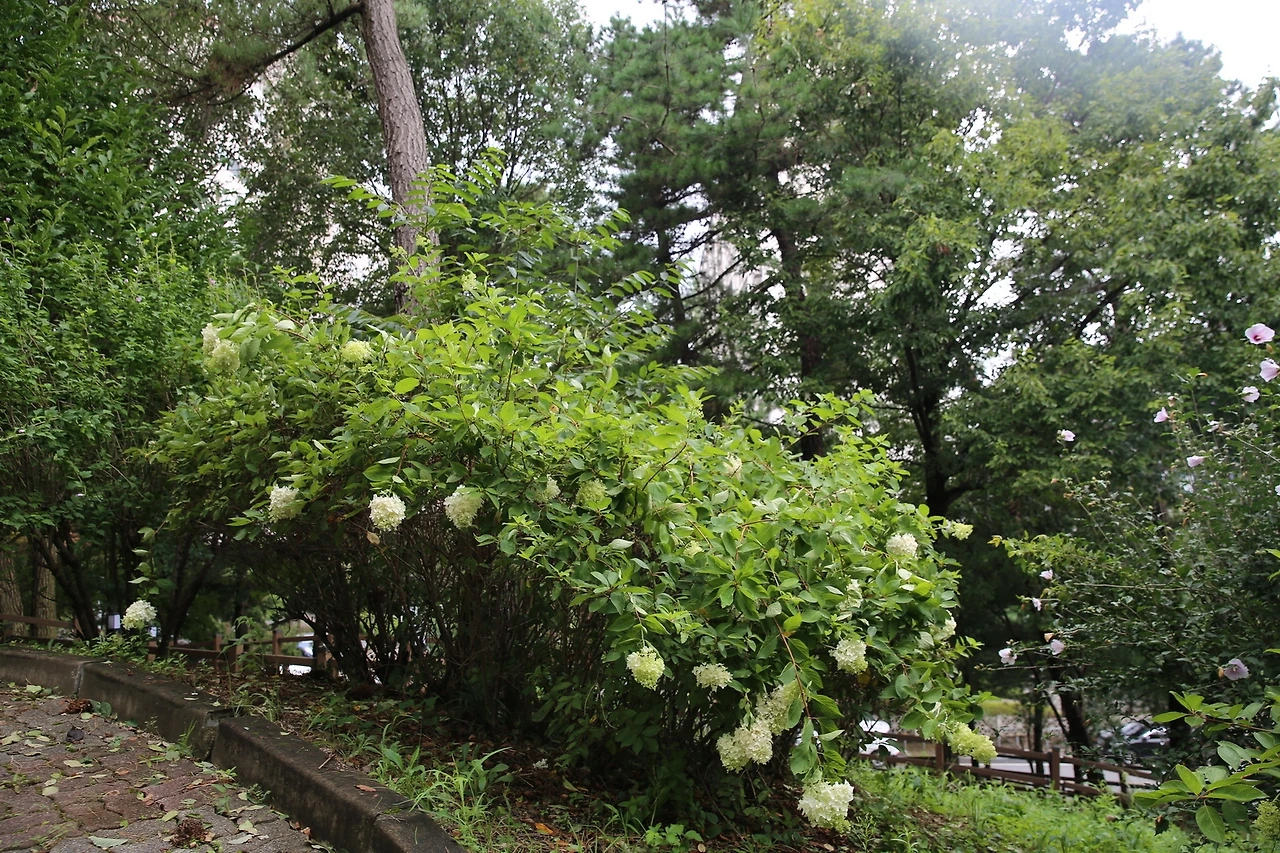 MG0A8709_новый размер.JPG