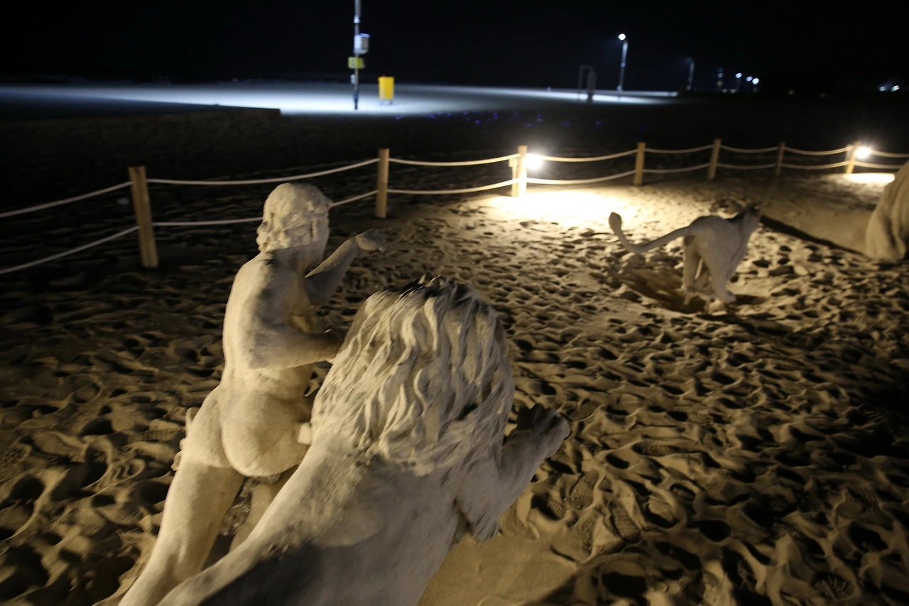 MG0A2374_новый размер.JPG