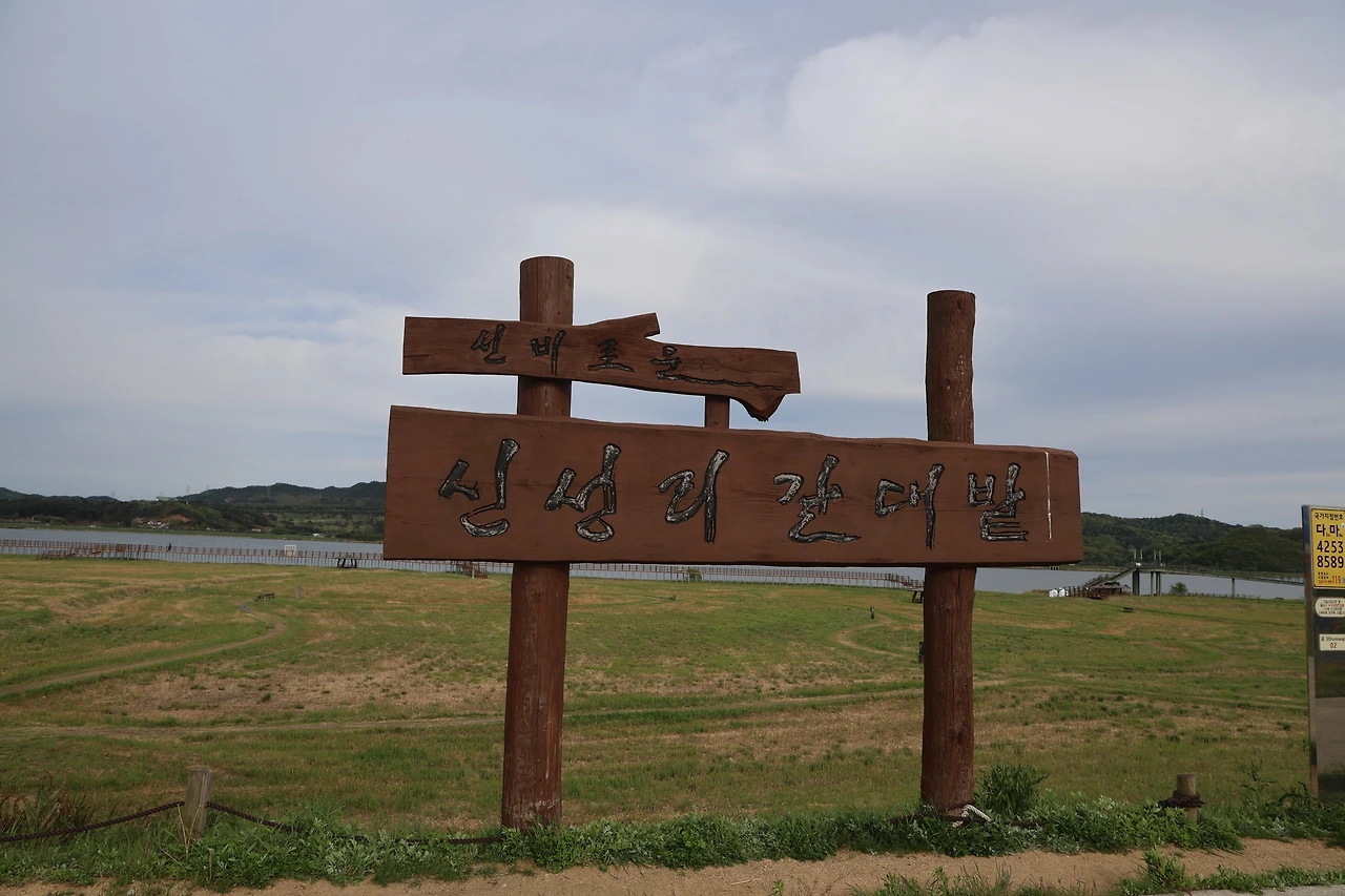 0R5A8469_новый размер.JPG