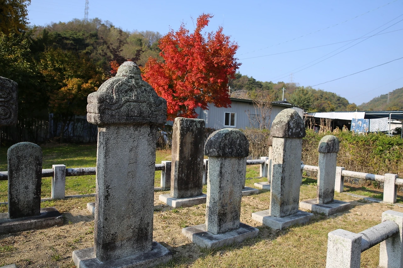 MG0A8367_новый размер.JPG