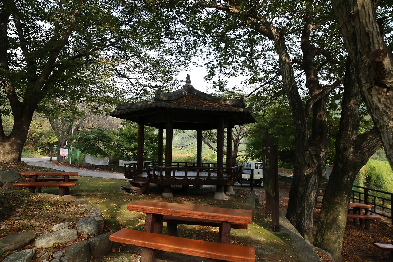 MG0A5851_новый размер.JPG