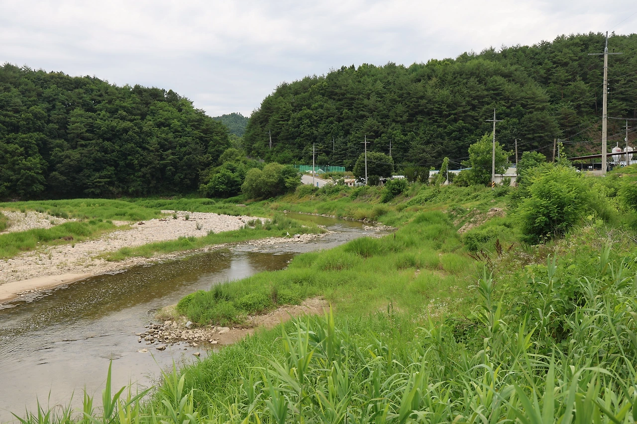 0R5A8596_новый размер.JPG