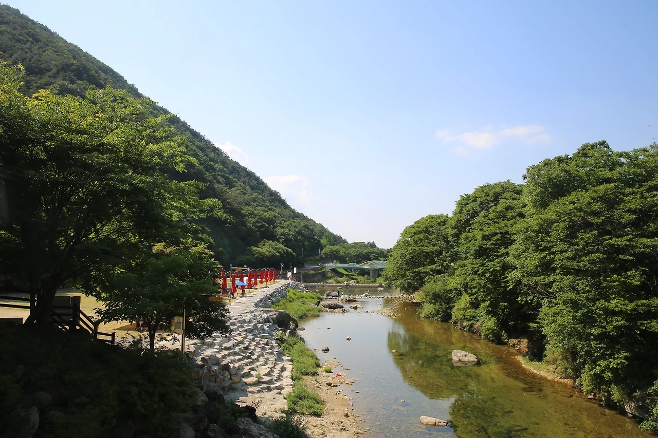 MG0A1549_новый размер.JPG