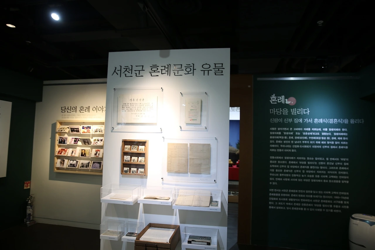 MG0A6923_новый размер.JPG