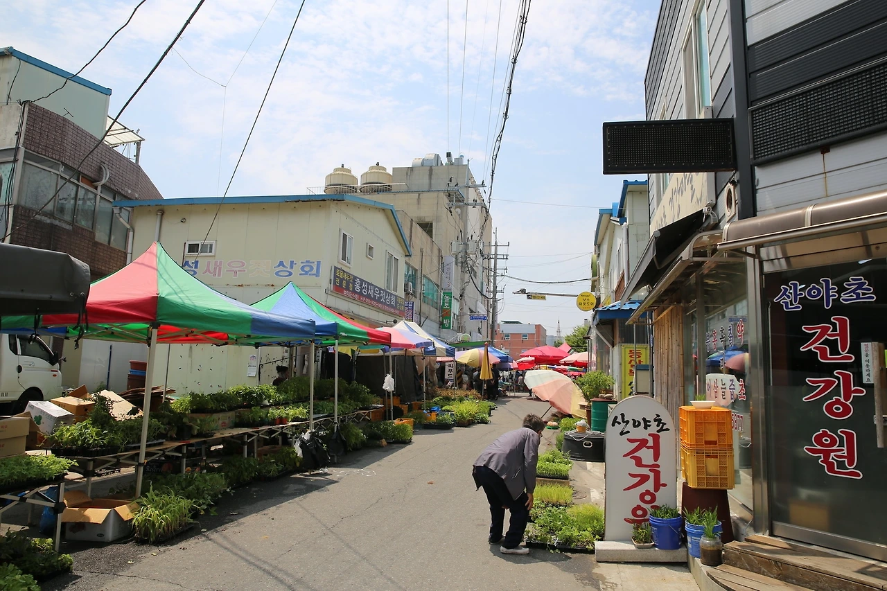 MG0A6118_новый размер.JPG