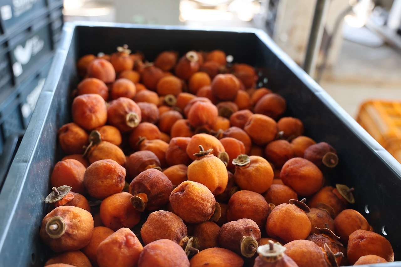 0R5A5504_новый размер.JPG