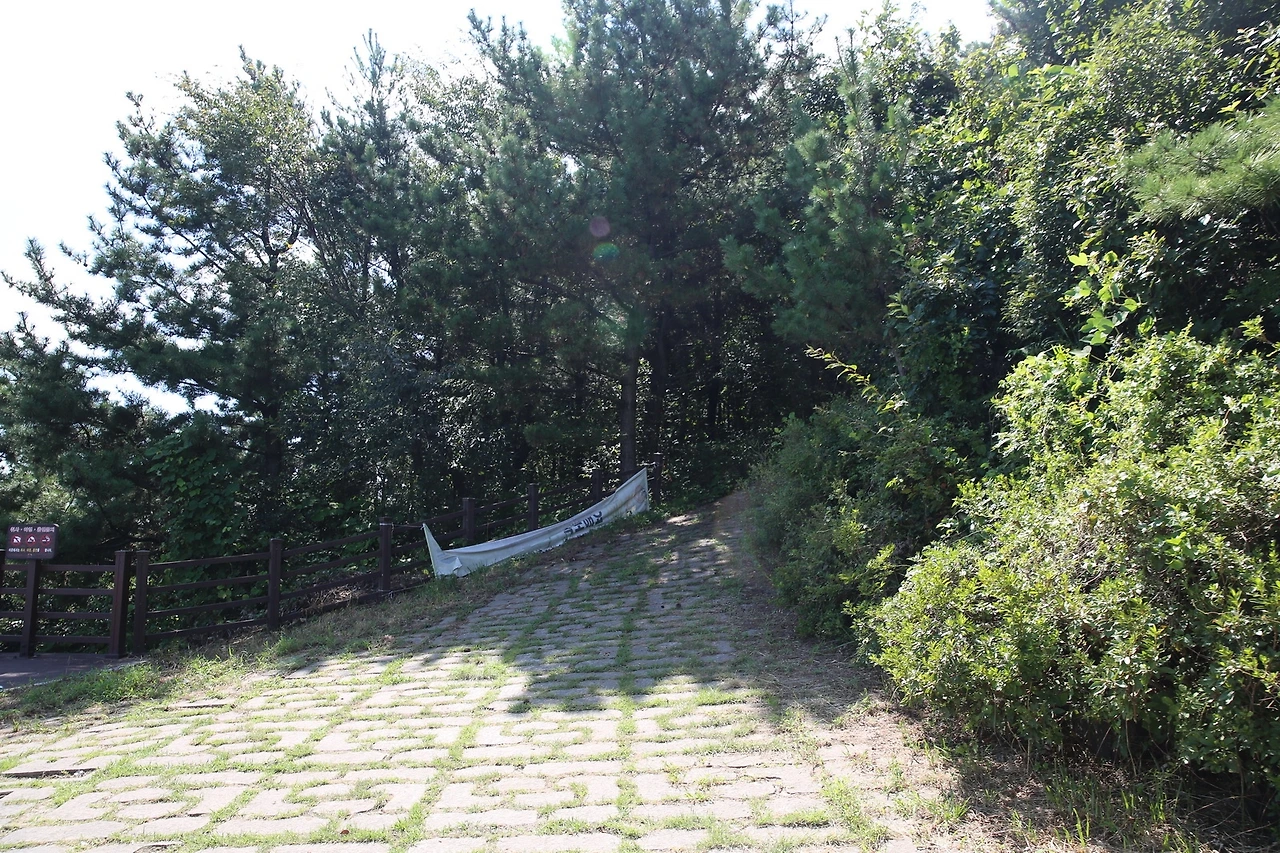 MG0A9248_новый размер.JPG