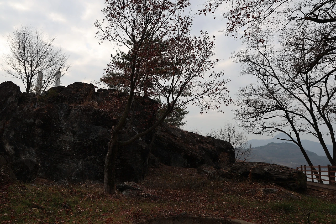 0R5A5720_новый размер.JPG