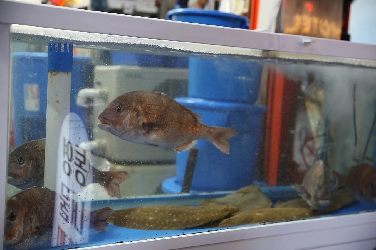 MG0A9018_новый размер.JPG