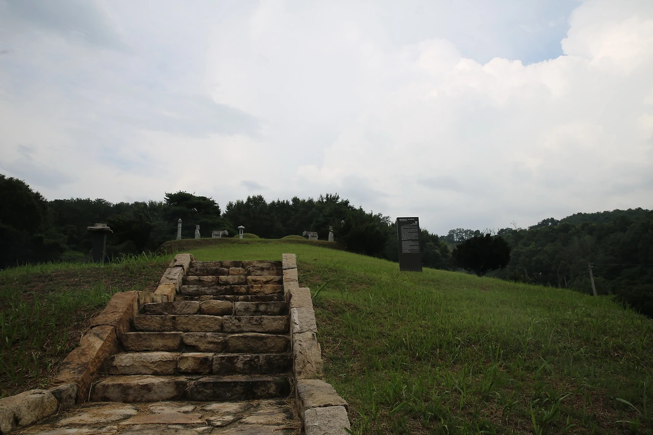 MG0A9650_новый размер.JPG