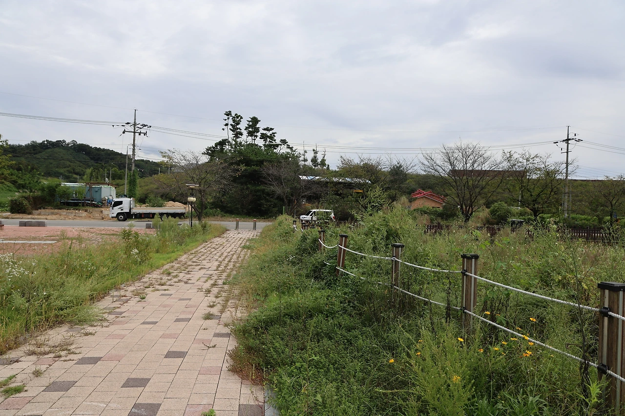 0R5A7752_новый размер.JPG