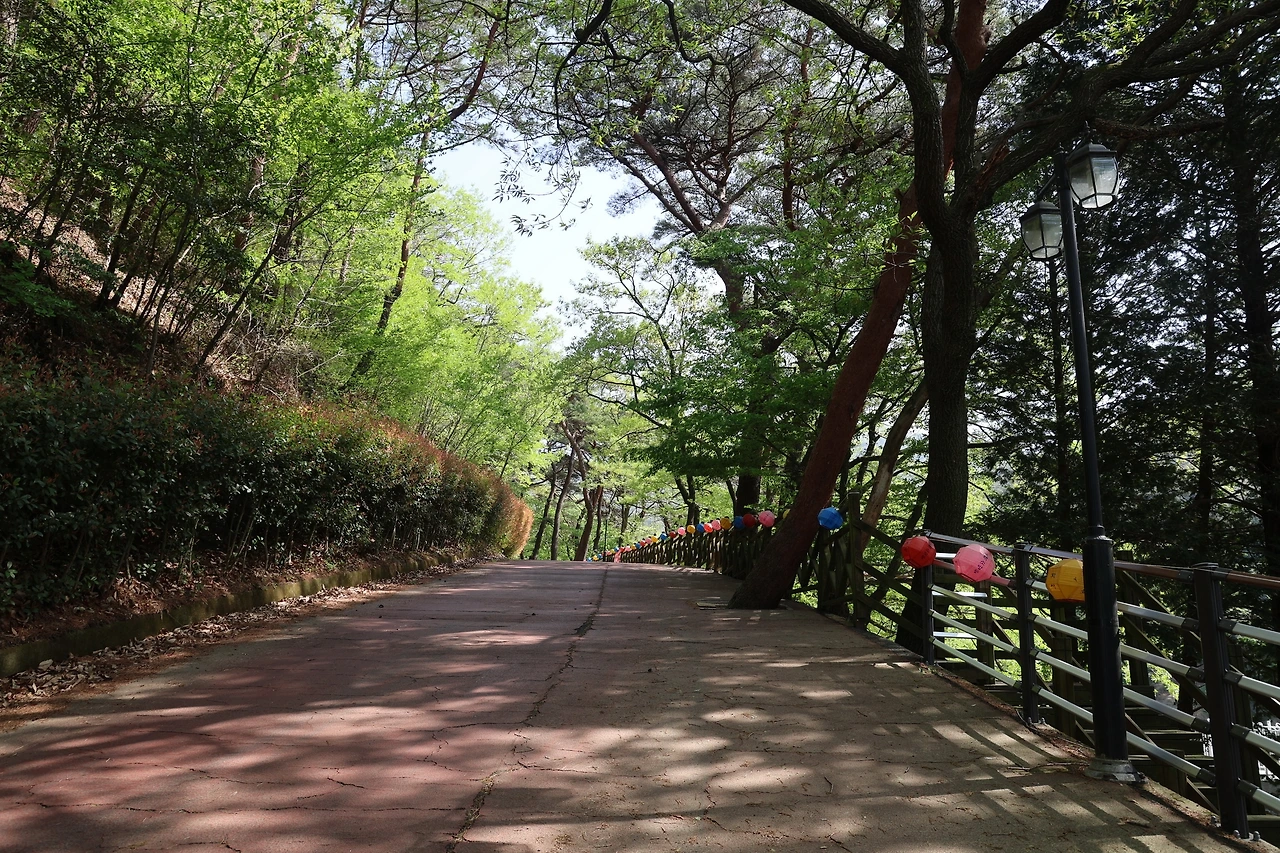 0R5A8338_новый размер.JPG