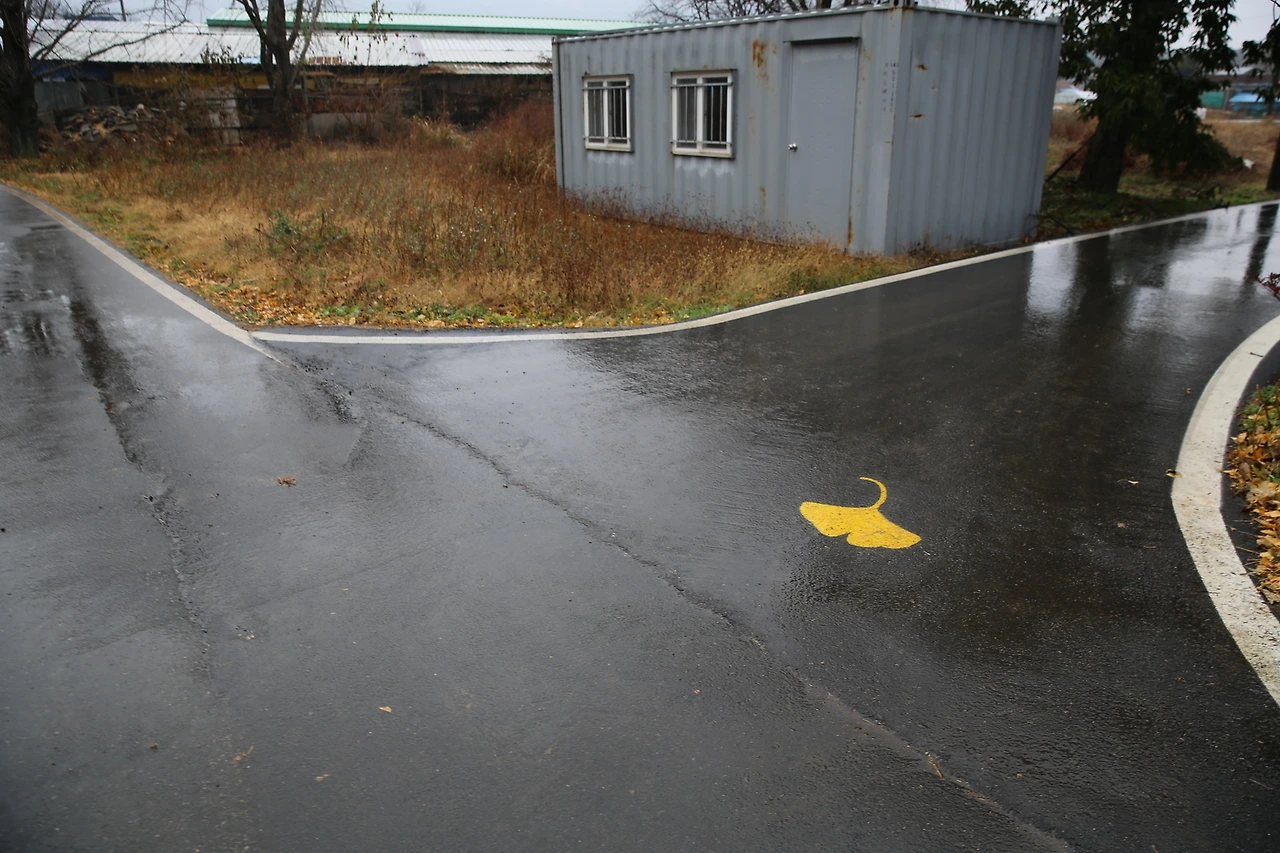 MG0A0865_новый размер.JPG