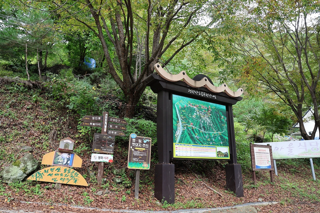 0R5A9776_новый размер.JPG