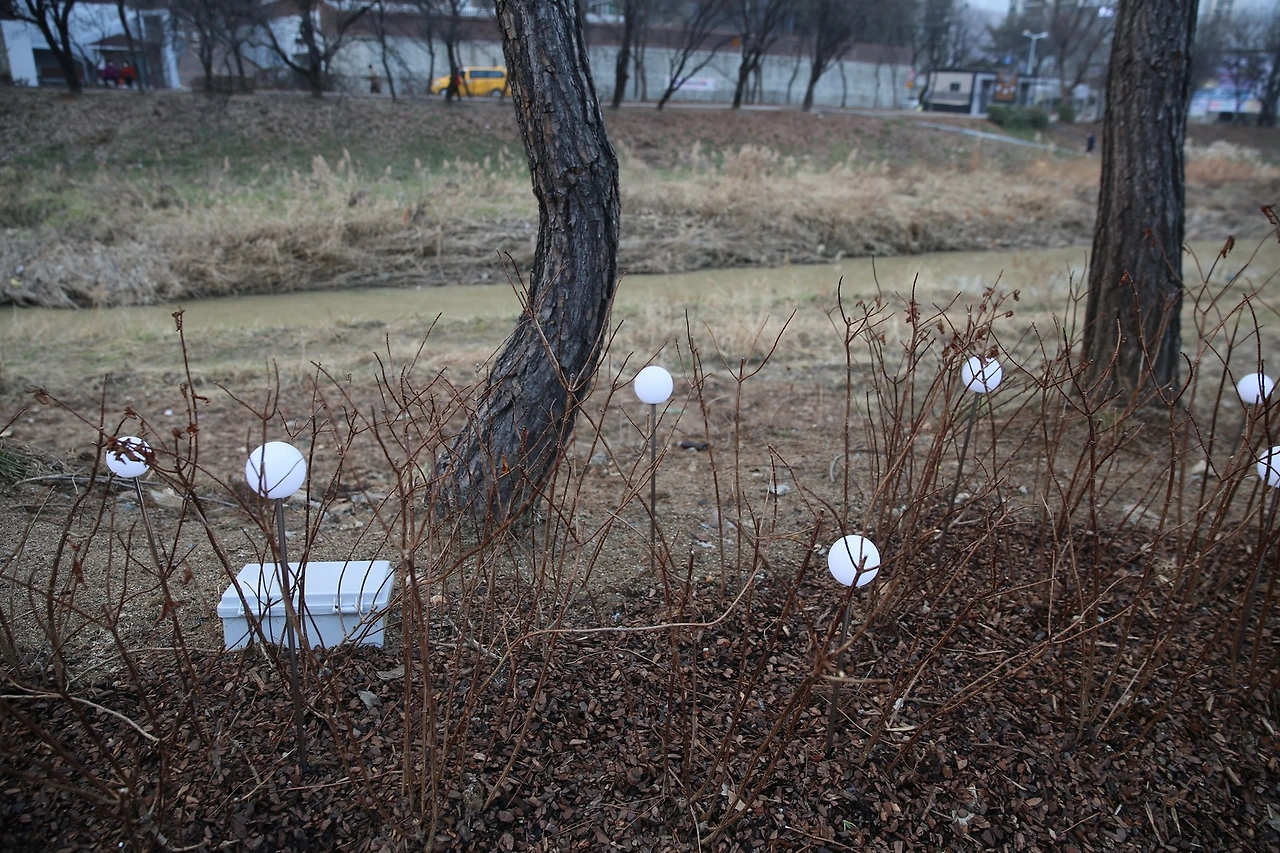 MG0A5597_новый размер.JPG