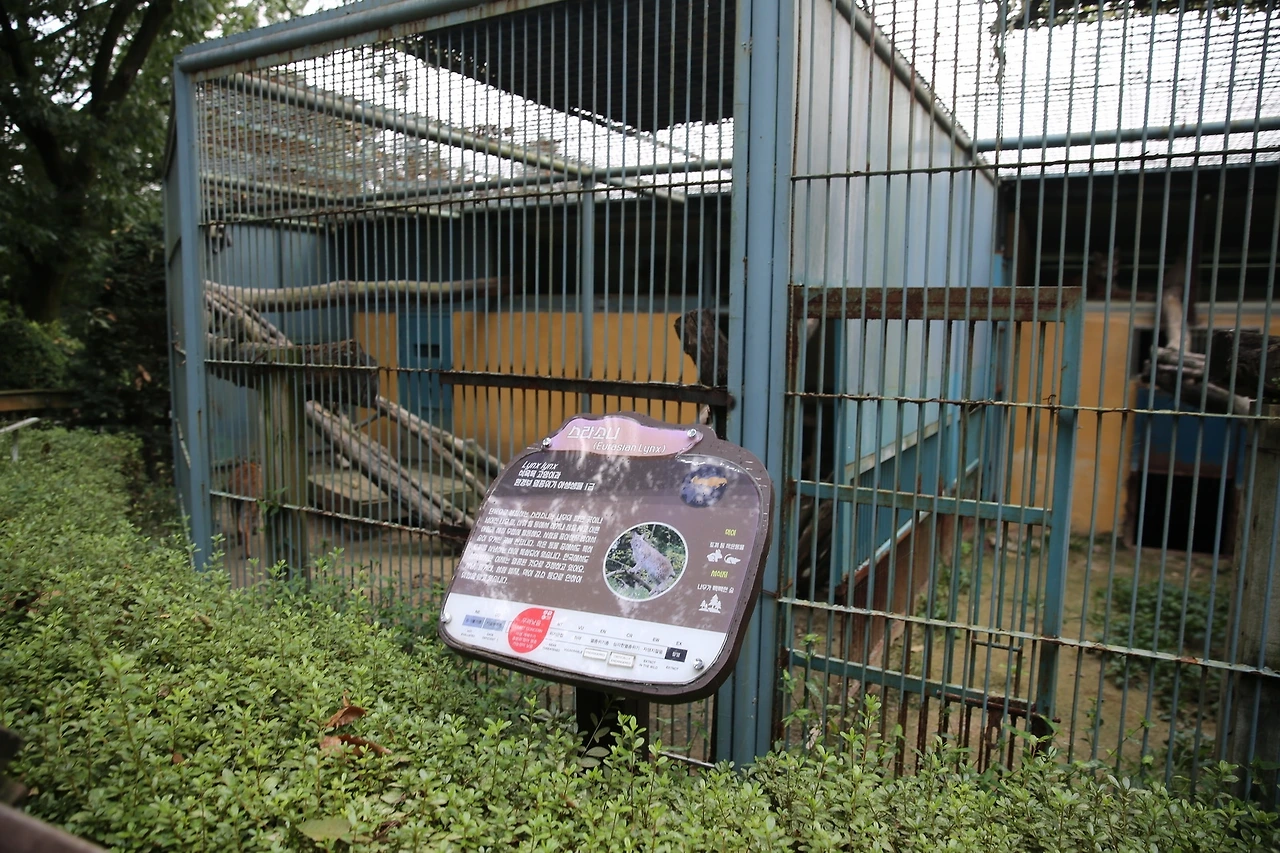 MG0A9611_новый размер.JPG