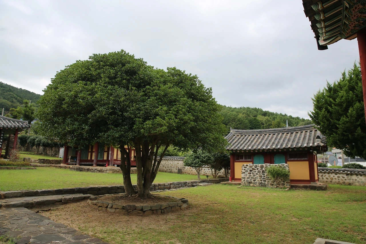 MG0A8739_новый размер.JPG