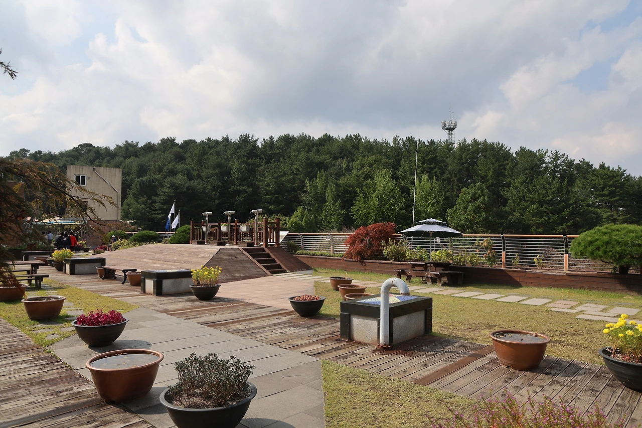 0R5A1329_новый размер.JPG