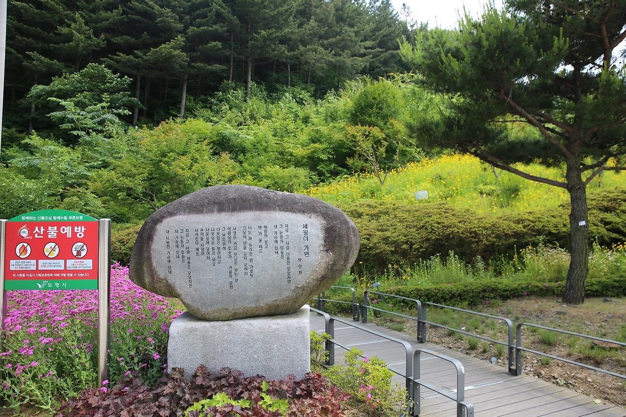 MG0A6370_новый размер.JPG