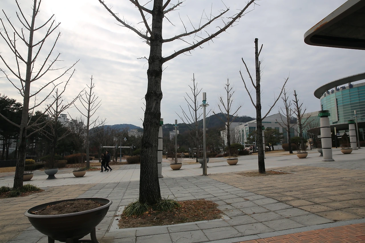 MG0A2617_новый размер.JPG