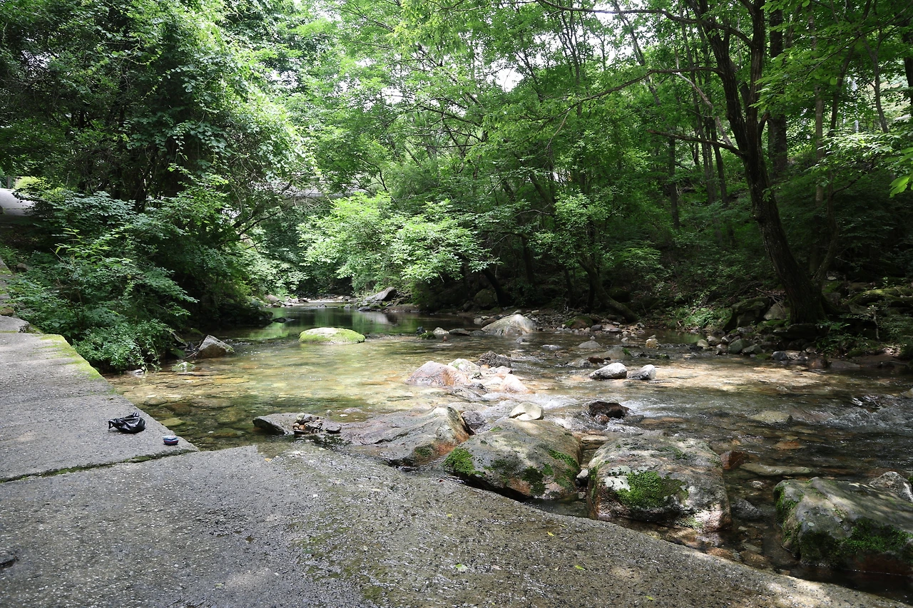 0R5A7458_новый размер.JPG