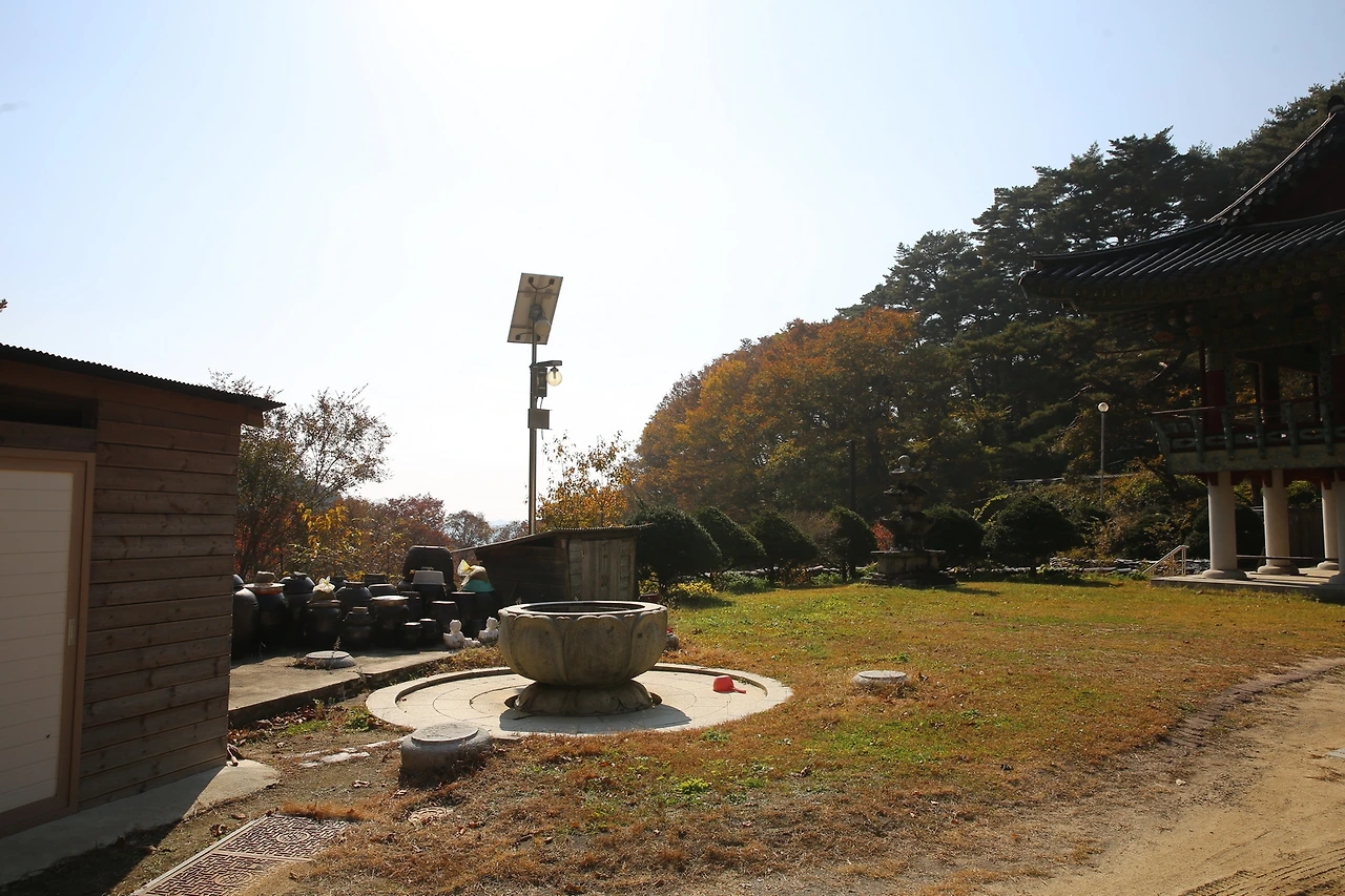 MG0A8230_новый размер.JPG