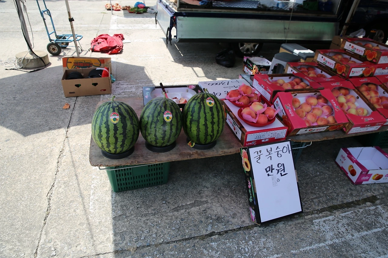 MG0A6886_новый размер.JPG