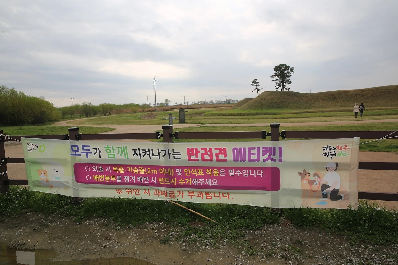 MG0A8230_новый размер.JPG