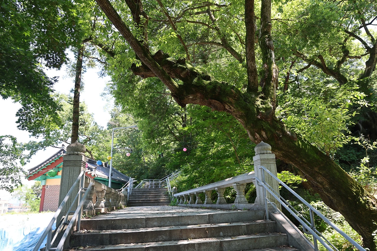 0R5A9849_новый размер.JPG