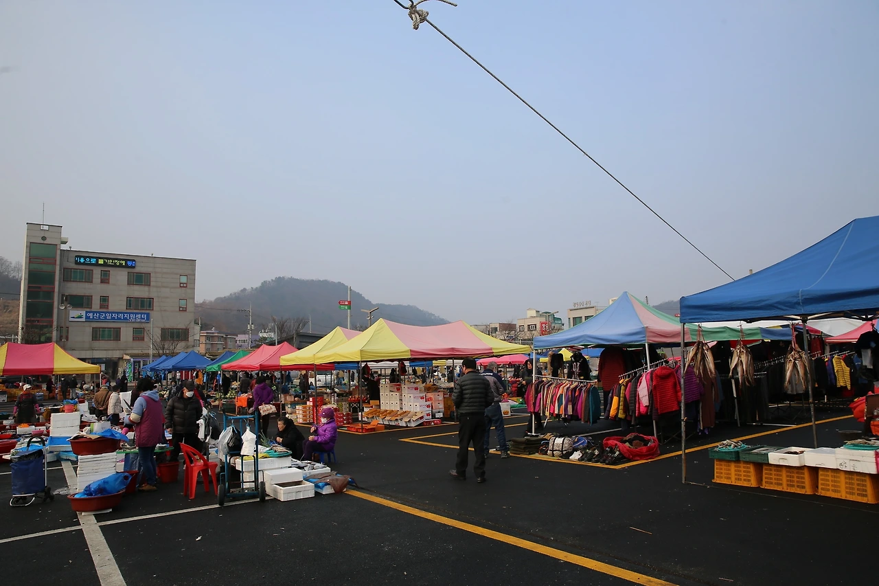 MG0A6627_новый размер.JPG