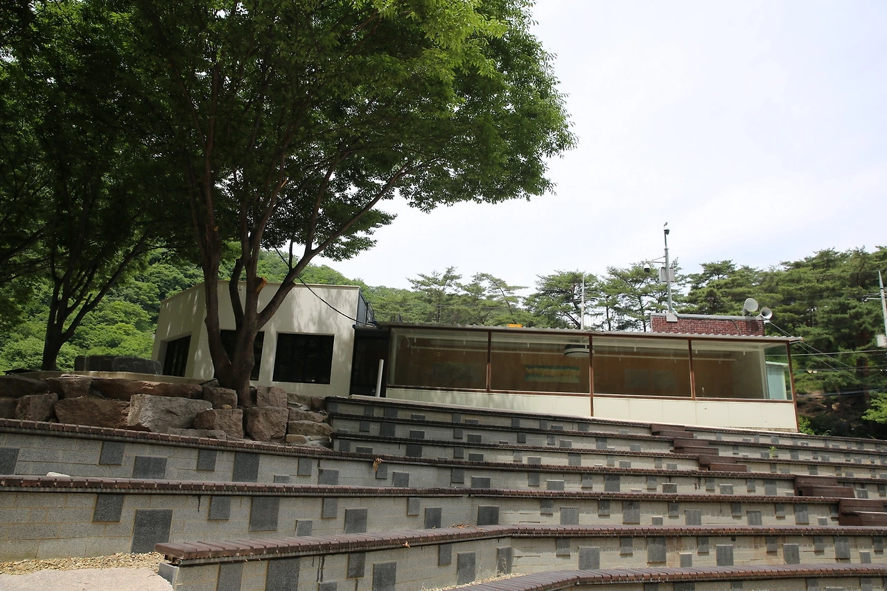 MG0A8506_новый размер.JPG