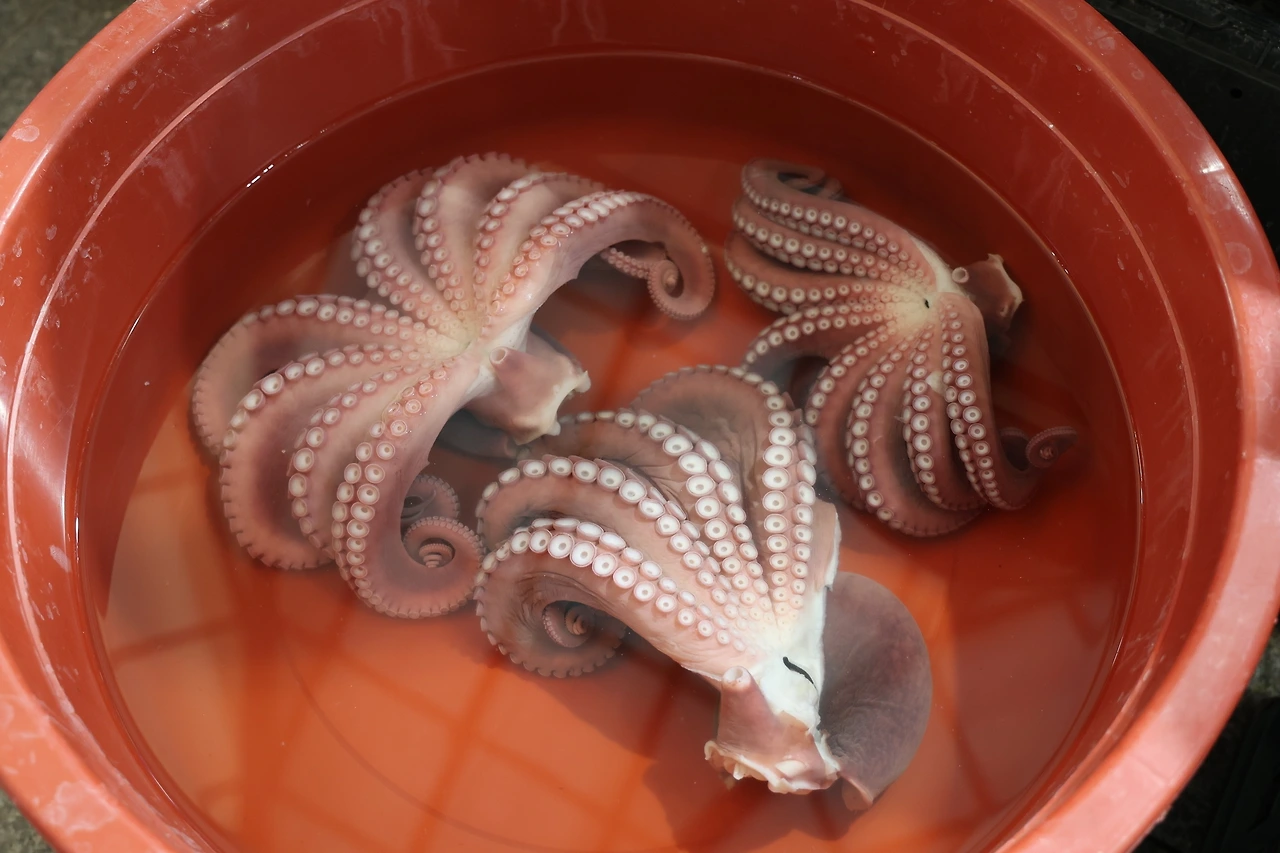 0R5A3052_новый размер.JPG