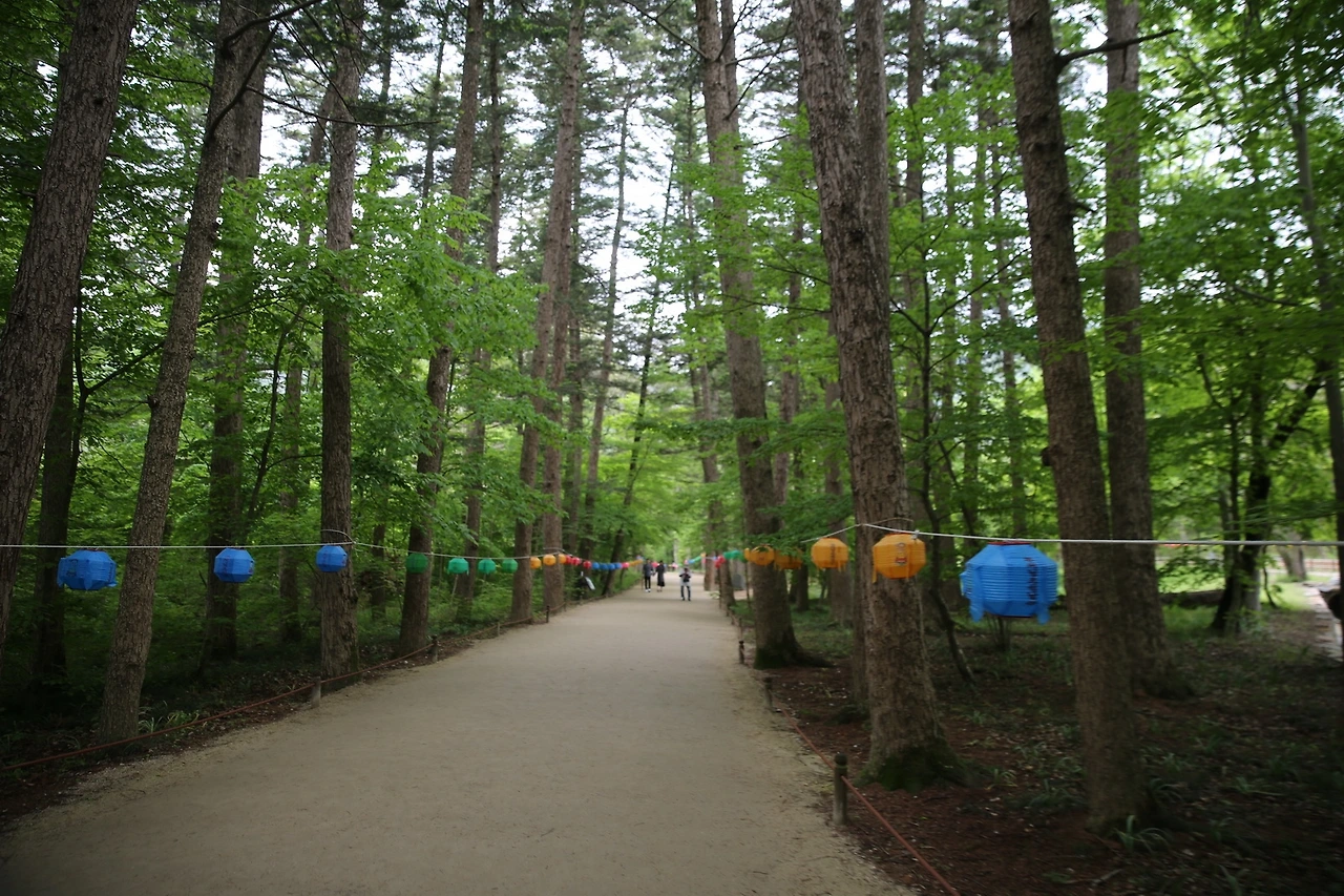 MG0A0580_новый размер.JPG