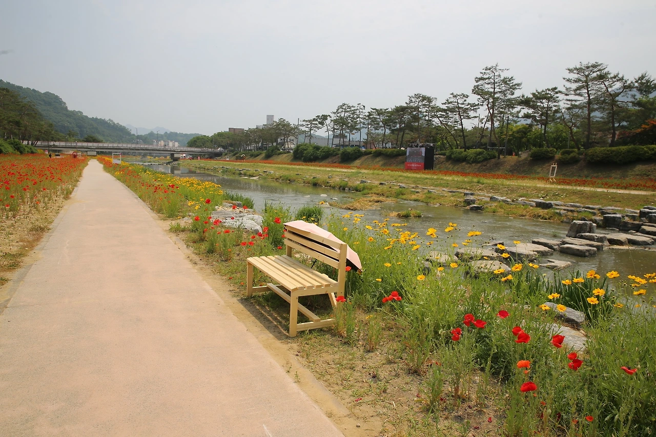 MG0A4299_новый размер.JPG