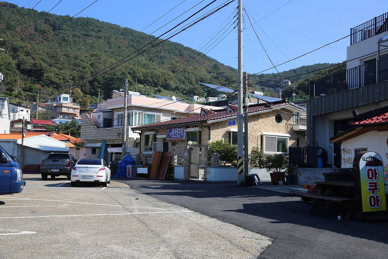 MG0A9195_новый размер.JPG