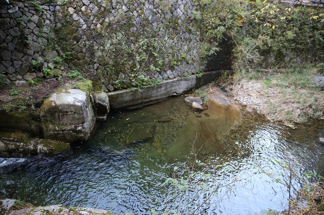 MG0A8382_новый размер.JPG